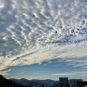 エントリ画像